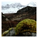 The Oldest Landscape