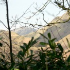 P1000707