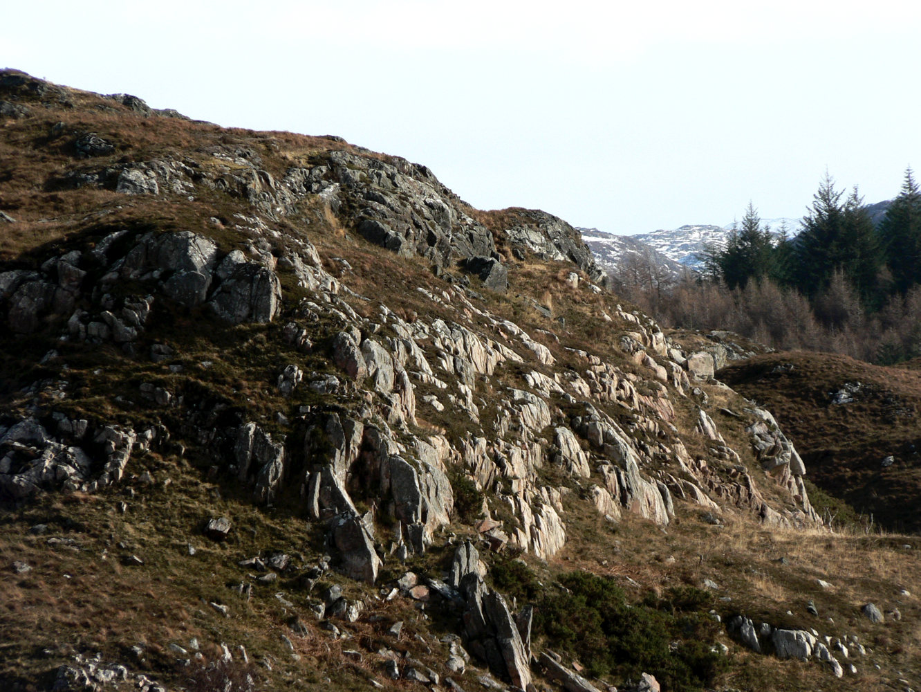 Stacks Image 109