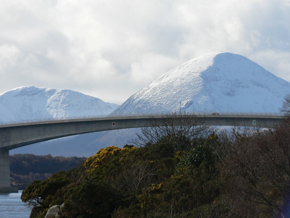 Stacks Image 70