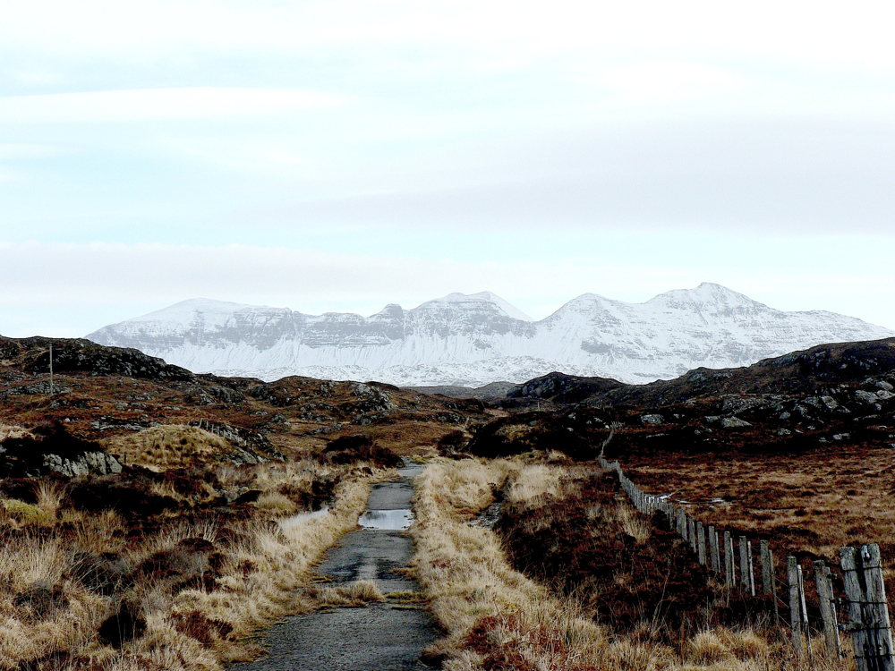 Stacks Image 95